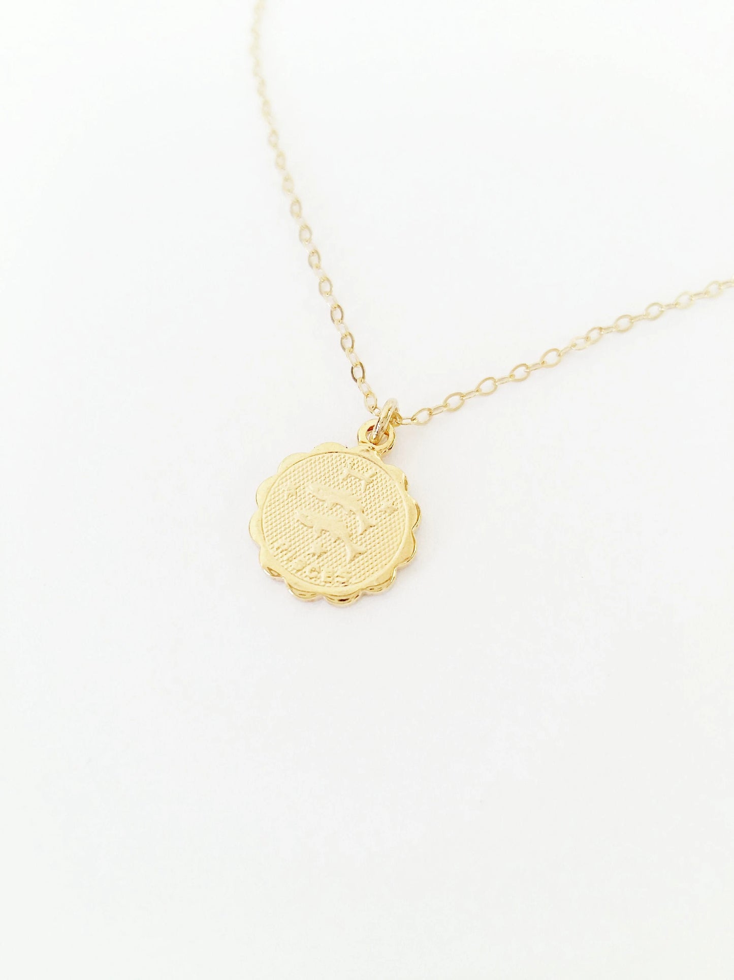Zodiac Coin Necklace (Wholesale)